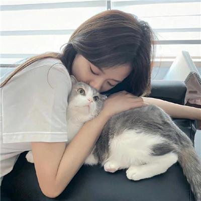 追风行动